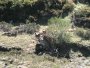 063-dscn1250.jpg.small.jpeg